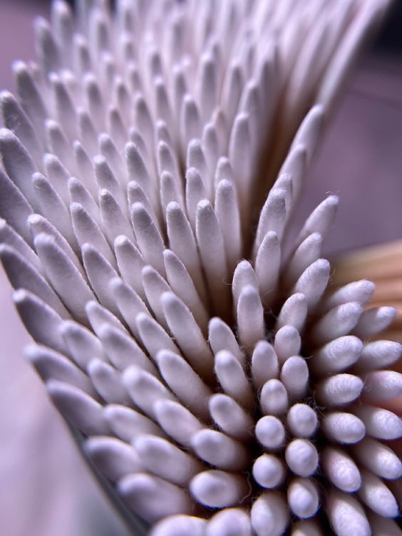 Applicator tips 100pc